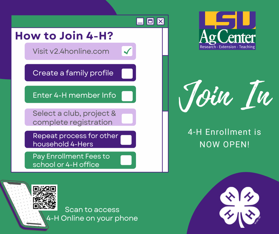 4-H Online Enrollment Information.png thumbnail